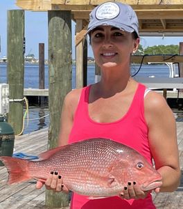 Matching Colors, Snapper Fishing In Florida